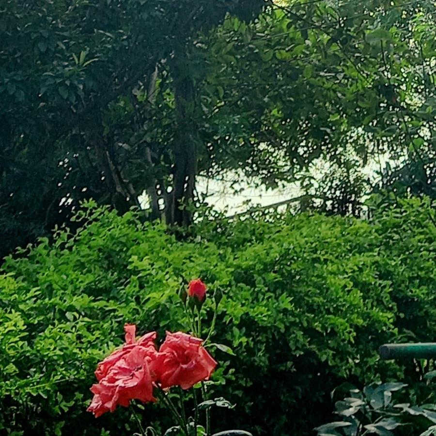 Farm stay Tranquility Shivpuri (Madhya Pradesh)
