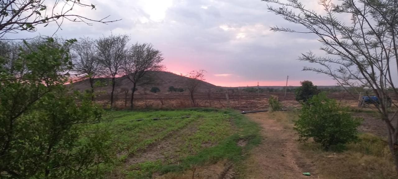 Farm stay Tranquility *